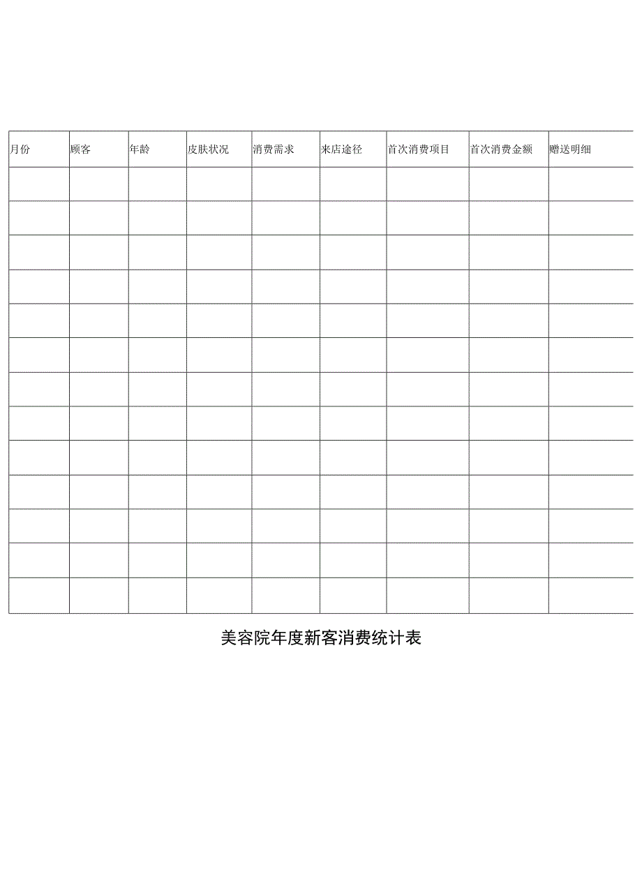 美容院全年新客消费统计表.docx_第1页