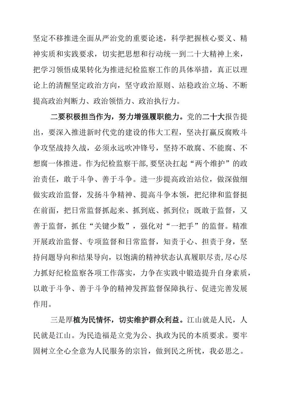 纪检监察干部队伍教育整顿工作个人心得讲话材料.docx_第2页