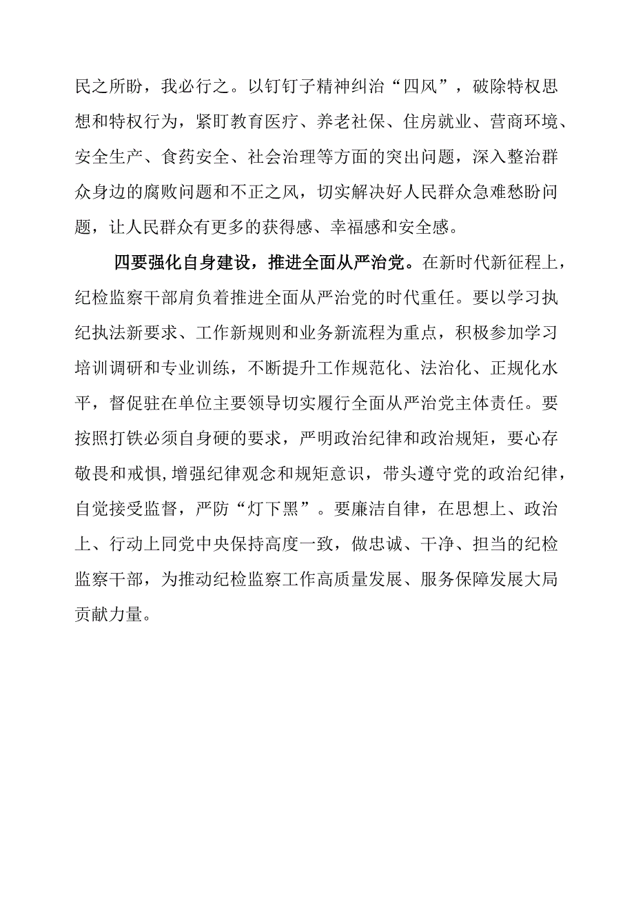 纪检监察干部队伍教育整顿工作个人心得讲话材料.docx_第3页