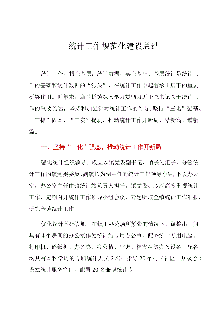 统计工作规范化建设总结.docx_第1页