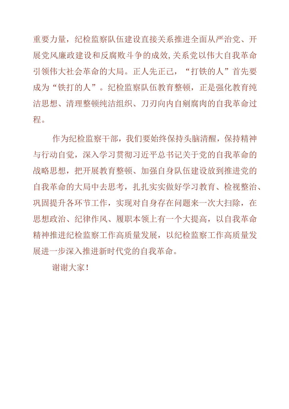 纪检监察干部队伍教育整顿工作学习个人讲话材料.docx_第3页