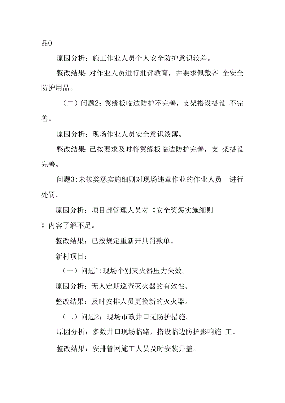 公司月度安全生产诊断报告的整改报告.docx_第2页