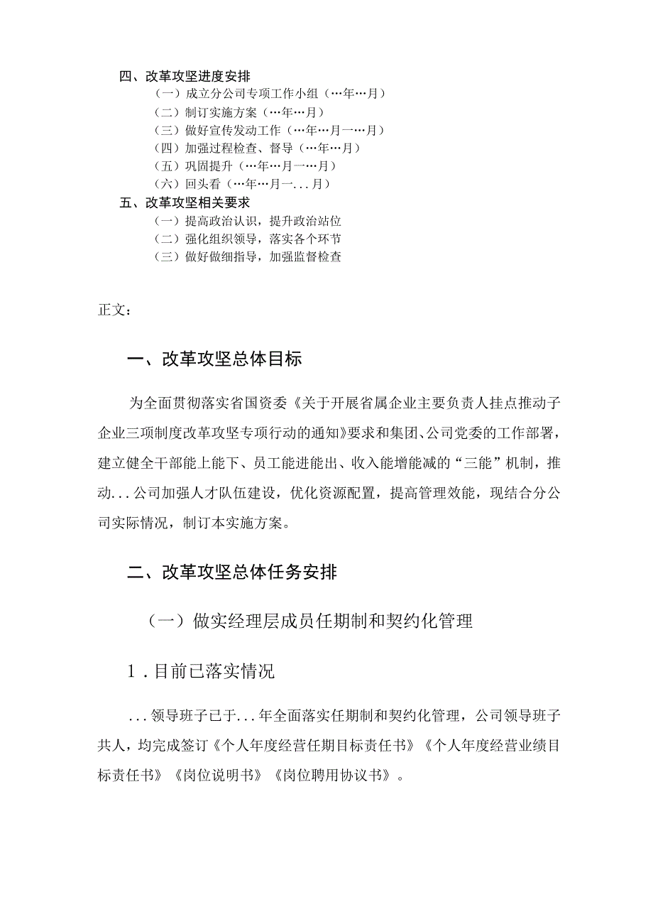 公司三项制度改革攻坚实施方案.docx_第2页