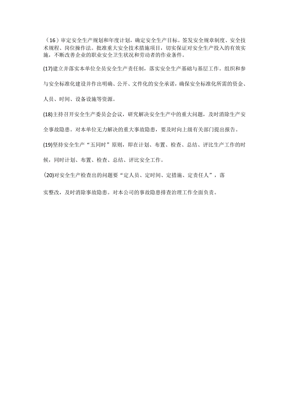 公司总经理安全生产职责.docx_第2页