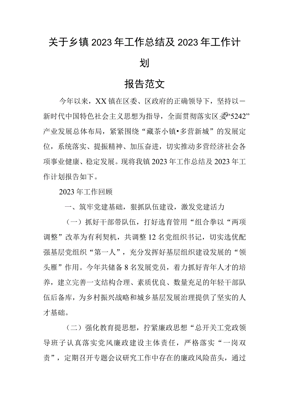 关于乡镇2023年工作总结及2023年工作计划报告范文.docx_第1页