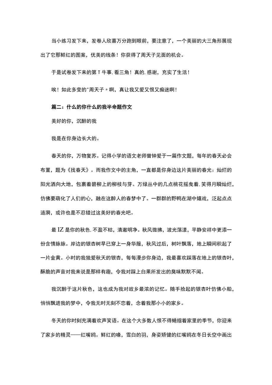 关于初中什么的你什么的我半命题作文600字初中范文.docx_第2页