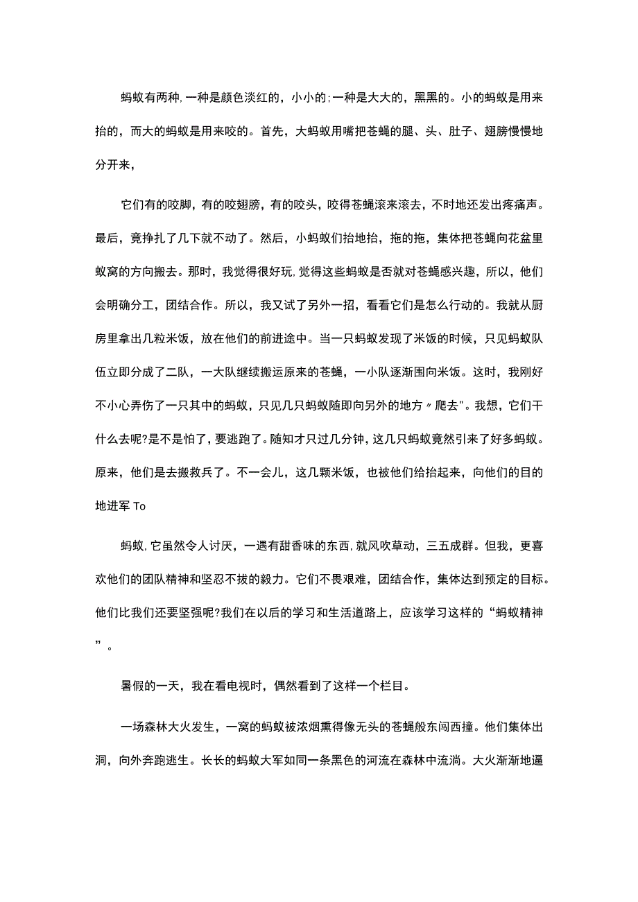 关于描写蚂蚁团结精神的作文集锦最新6篇.docx_第3页