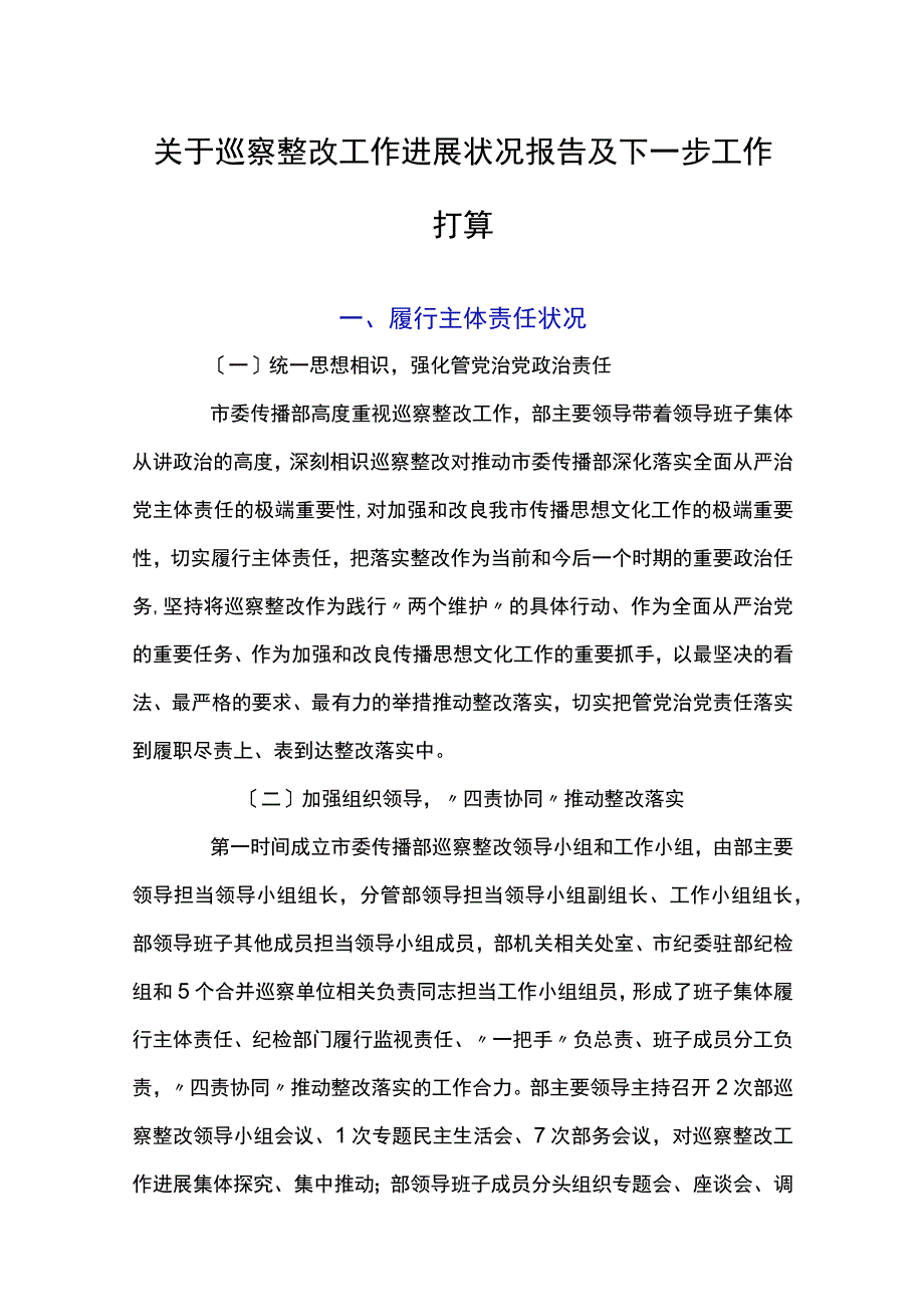 关于巡视整改工作进展情况报告及下一步工作打算.docx_第1页