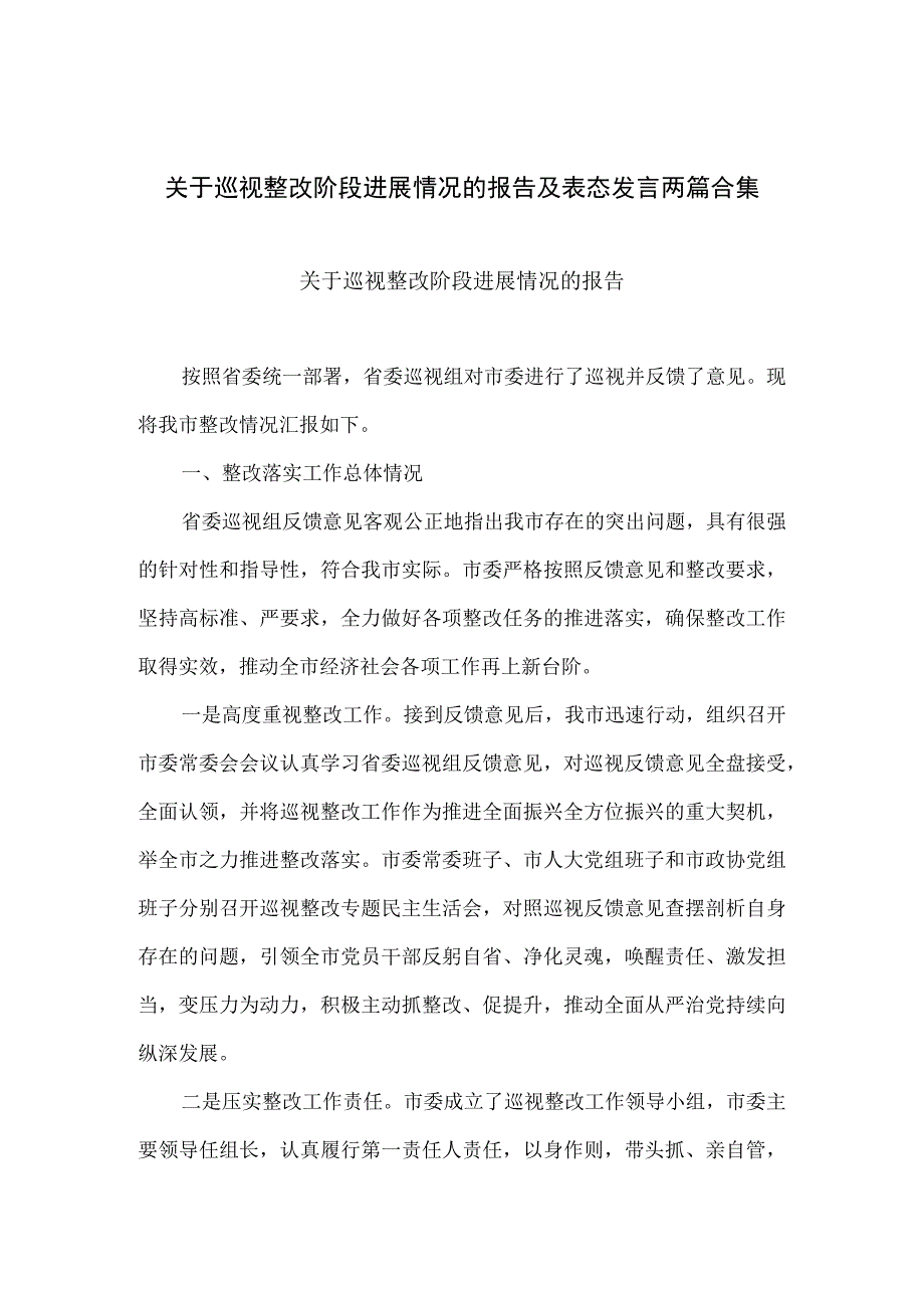 关于巡视整改阶段进展情况的报告及表态发言两篇合集.docx_第1页