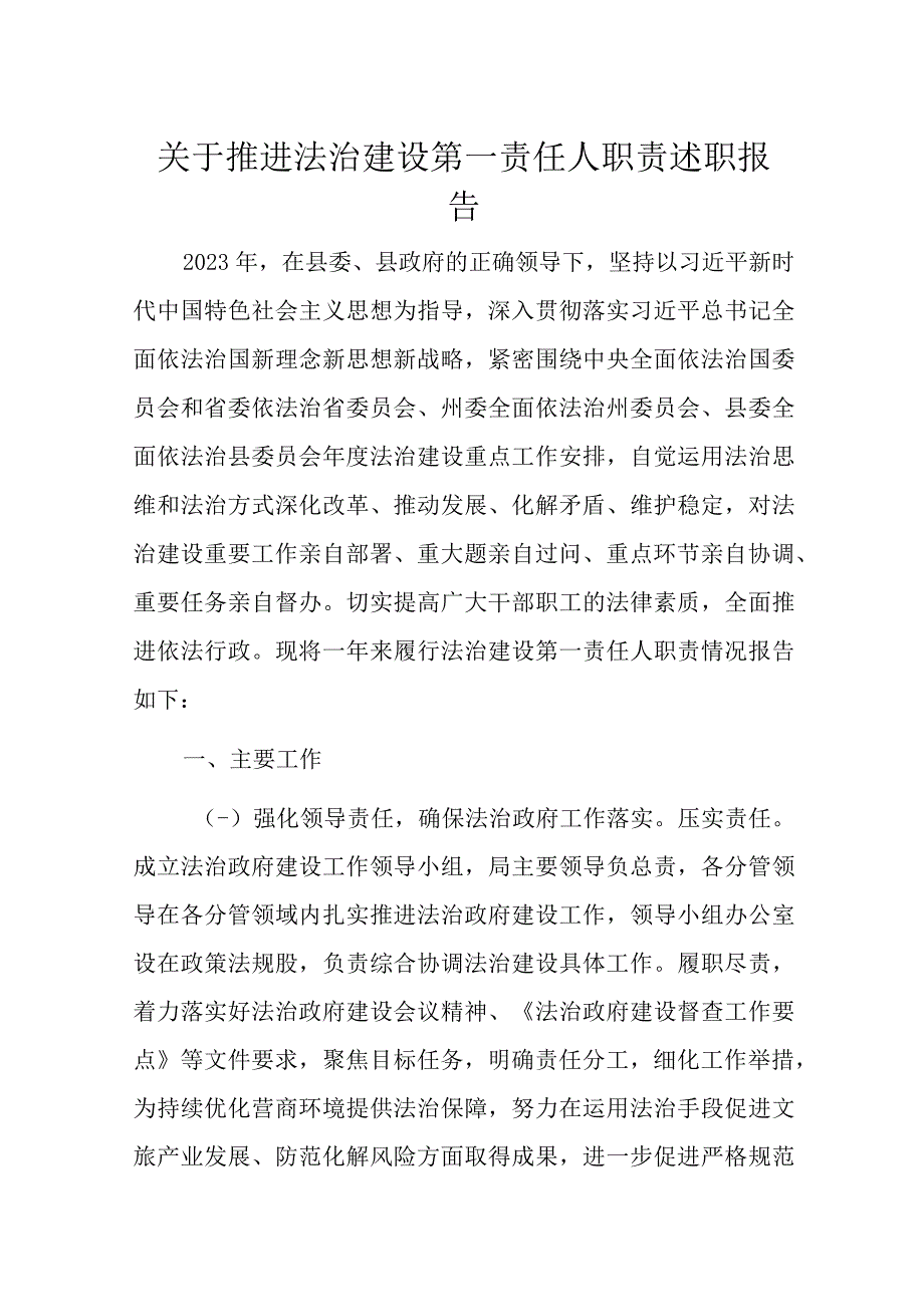 关于推进法治建设第一责任人职责述职报告.docx_第1页