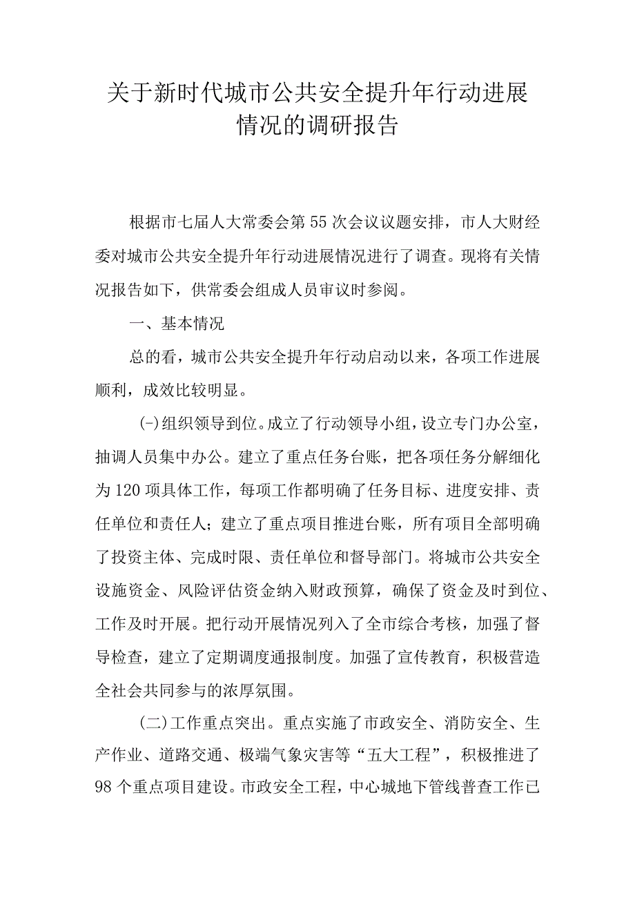 关于新时代城市公共安全提升年行动进展情况的调研报告.docx_第1页