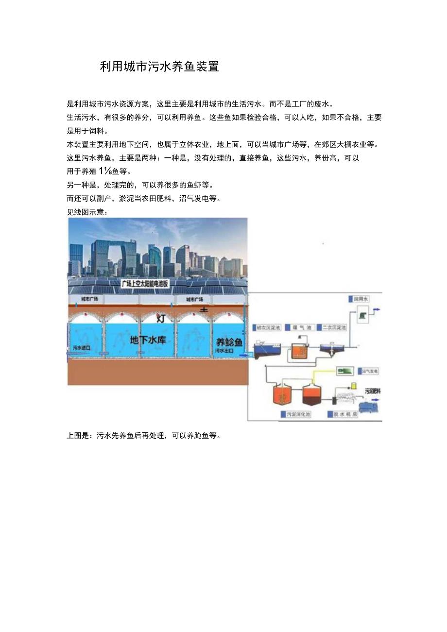 利用城市污水养鱼装置.docx_第1页