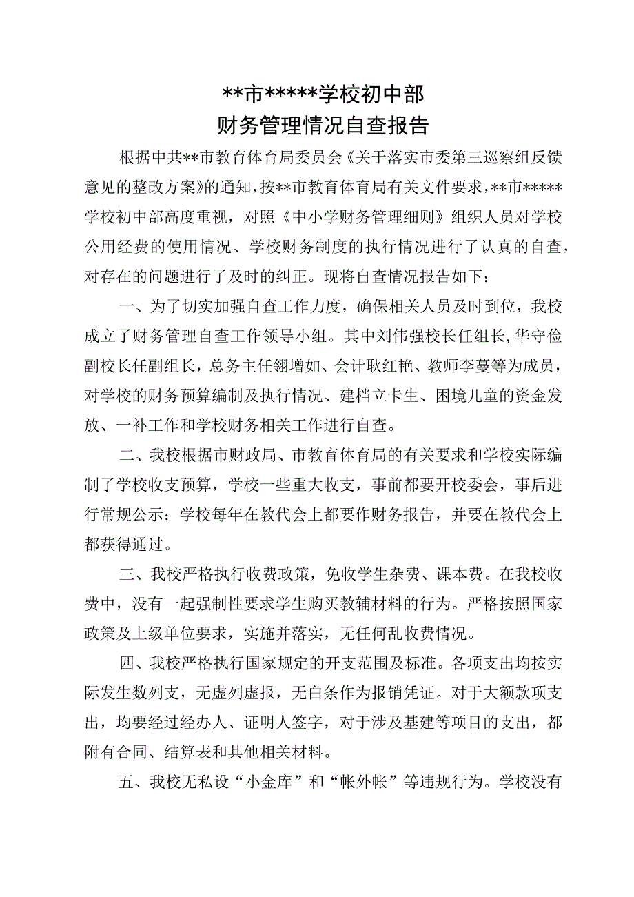 初中学校财务自查报告.docx_第1页