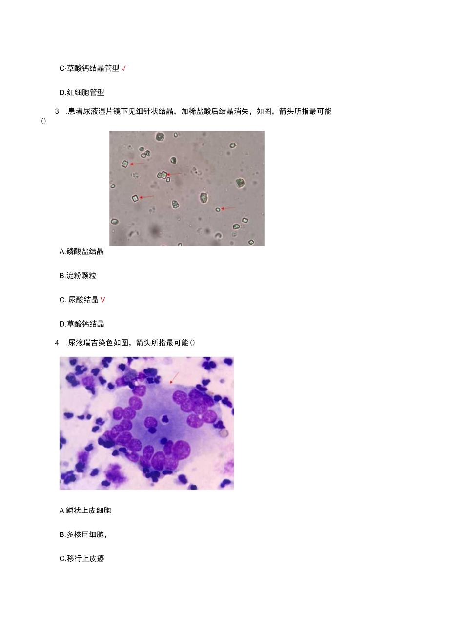 医学形态学理论知识考核试题及答案.docx_第2页