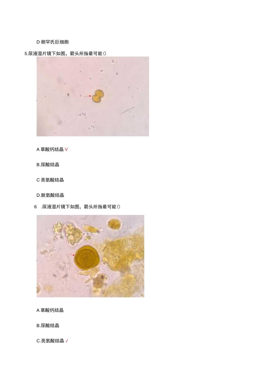 医学形态学理论知识考核试题及答案.docx_第3页