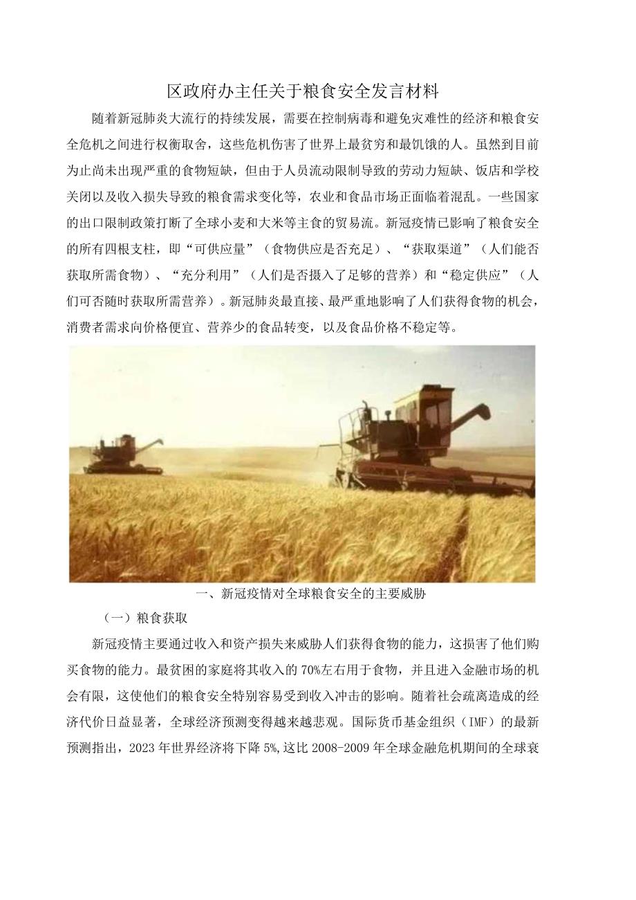 区政府办主任关于粮食安全发言材料.docx_第1页