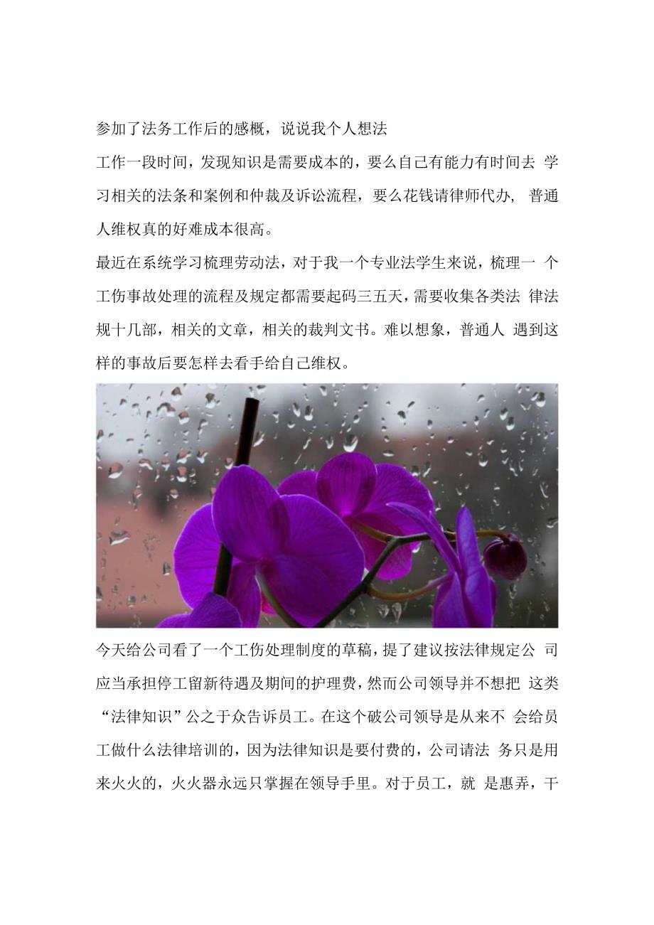 参加了法务工作后的感概说说我个人想法.docx_第1页