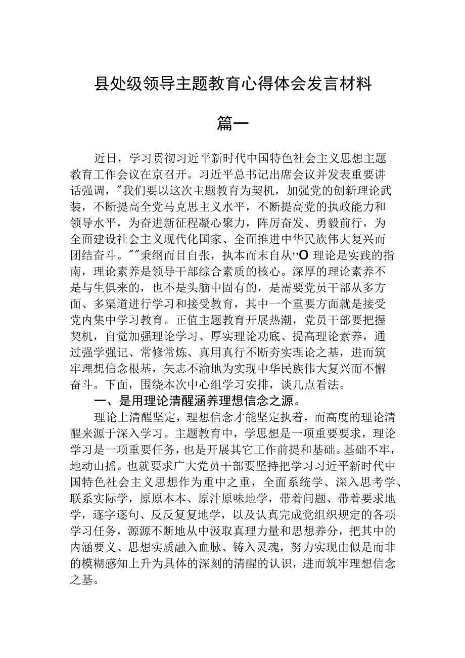 县处级领导主题教育心得体会发言材料精选三篇.docx_第1页