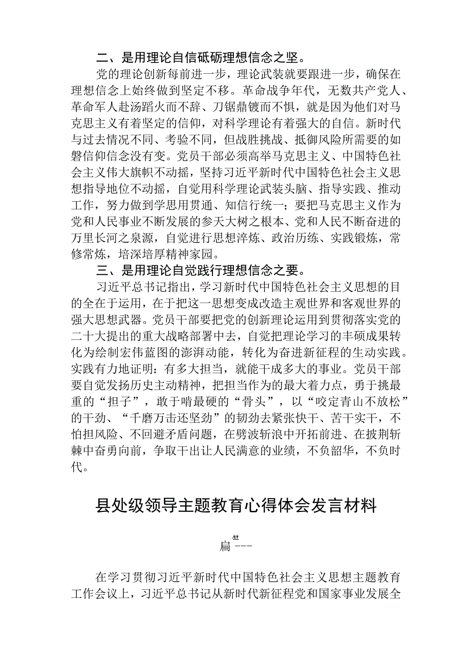 县处级领导主题教育心得体会发言材料精选三篇.docx_第2页