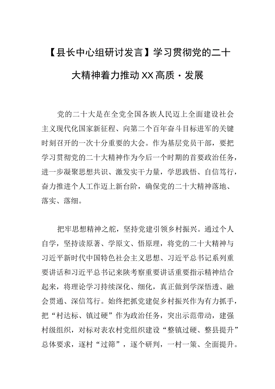 县长中心组研讨发言学习贯彻党的二十大精神 着力推动XX高质量发展.docx_第1页