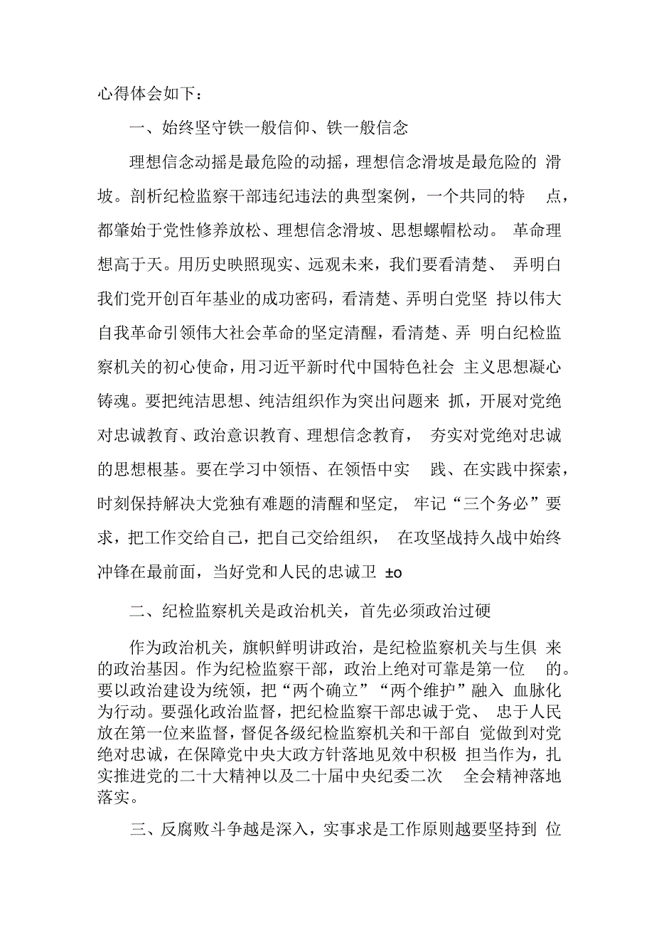 国企单位2023年纪检监察干部队伍教育整顿心得体会 汇编4份.docx_第3页