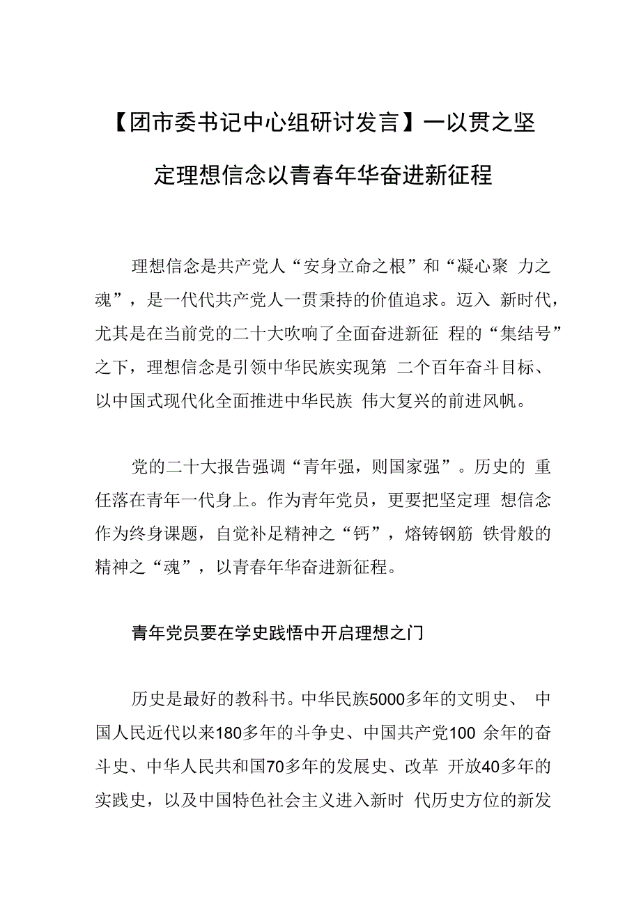 团市委书记中心组研讨发言一以贯之坚定理想信念 以青春年华奋进新征程.docx_第1页