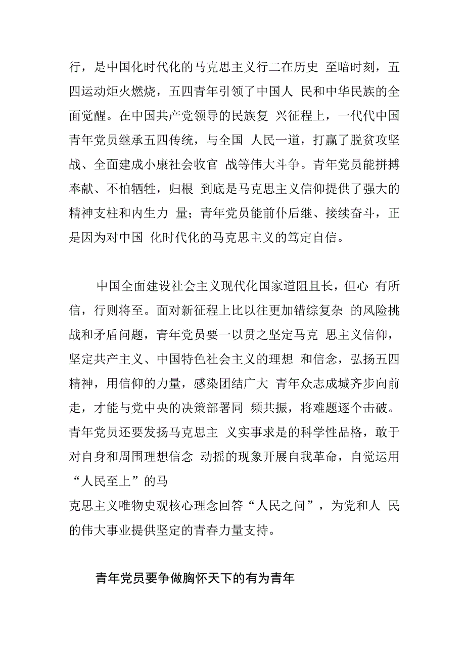 团市委书记中心组研讨发言一以贯之坚定理想信念 以青春年华奋进新征程.docx_第3页