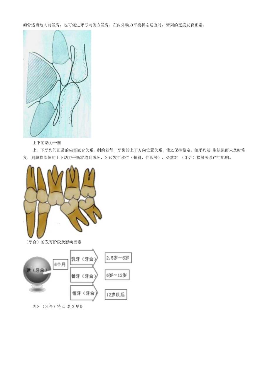 口腔解剖生理学牙合与颌位.docx_第2页