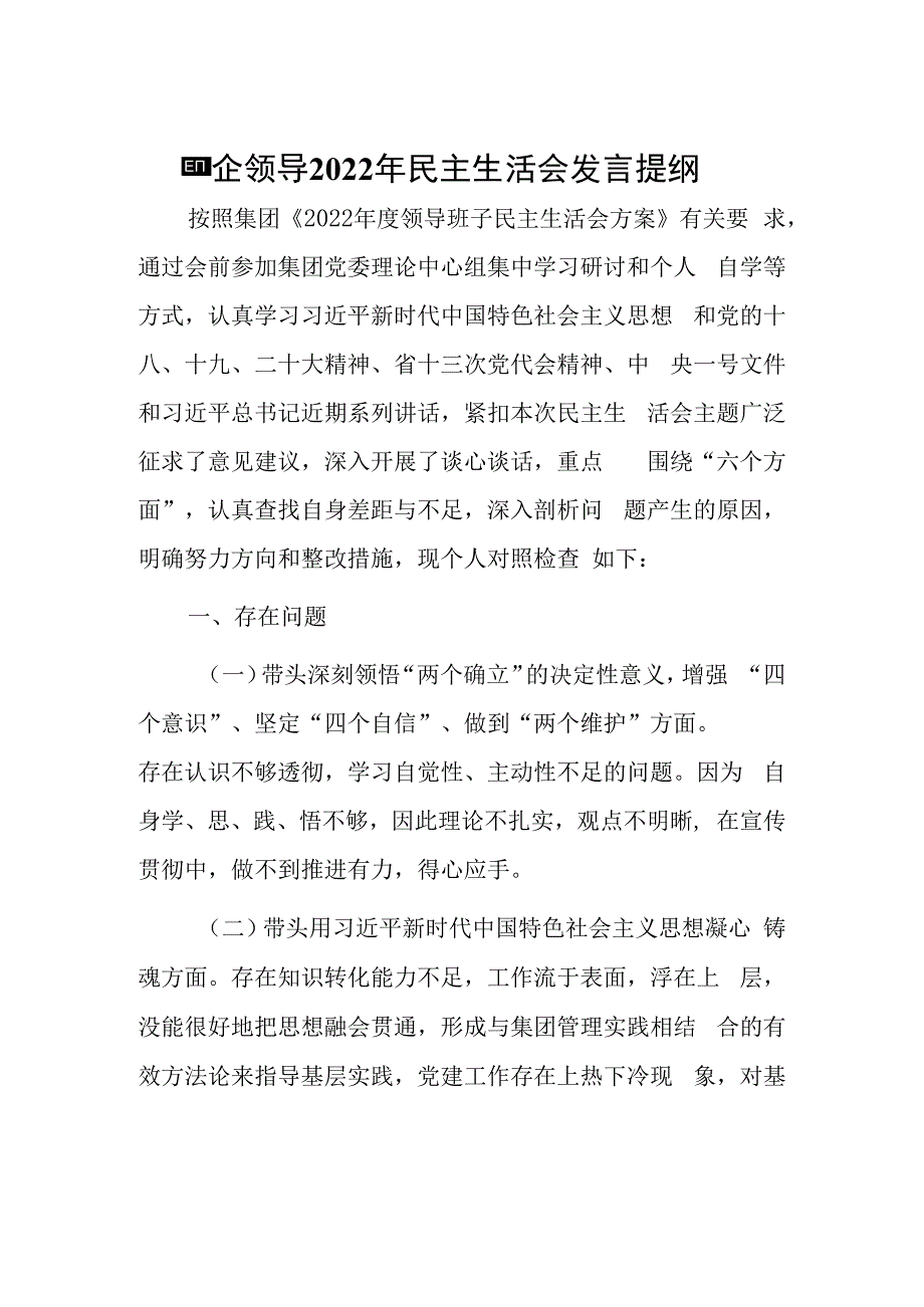 国企领导2023年民主生活会发言提纲.docx_第1页