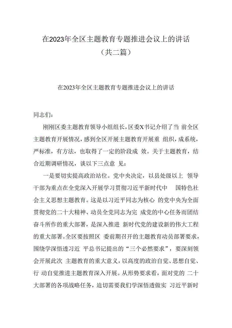 在2023年全区主题教育专题推进会议上的讲话(共二篇).docx_第1页