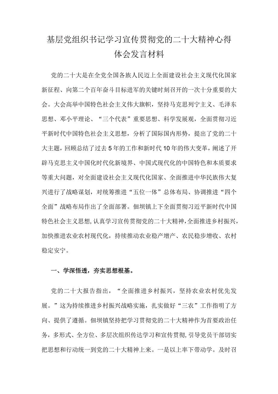 基层党组织书记学习宣传贯彻党的二十大精神心得体会发言材料.docx_第1页