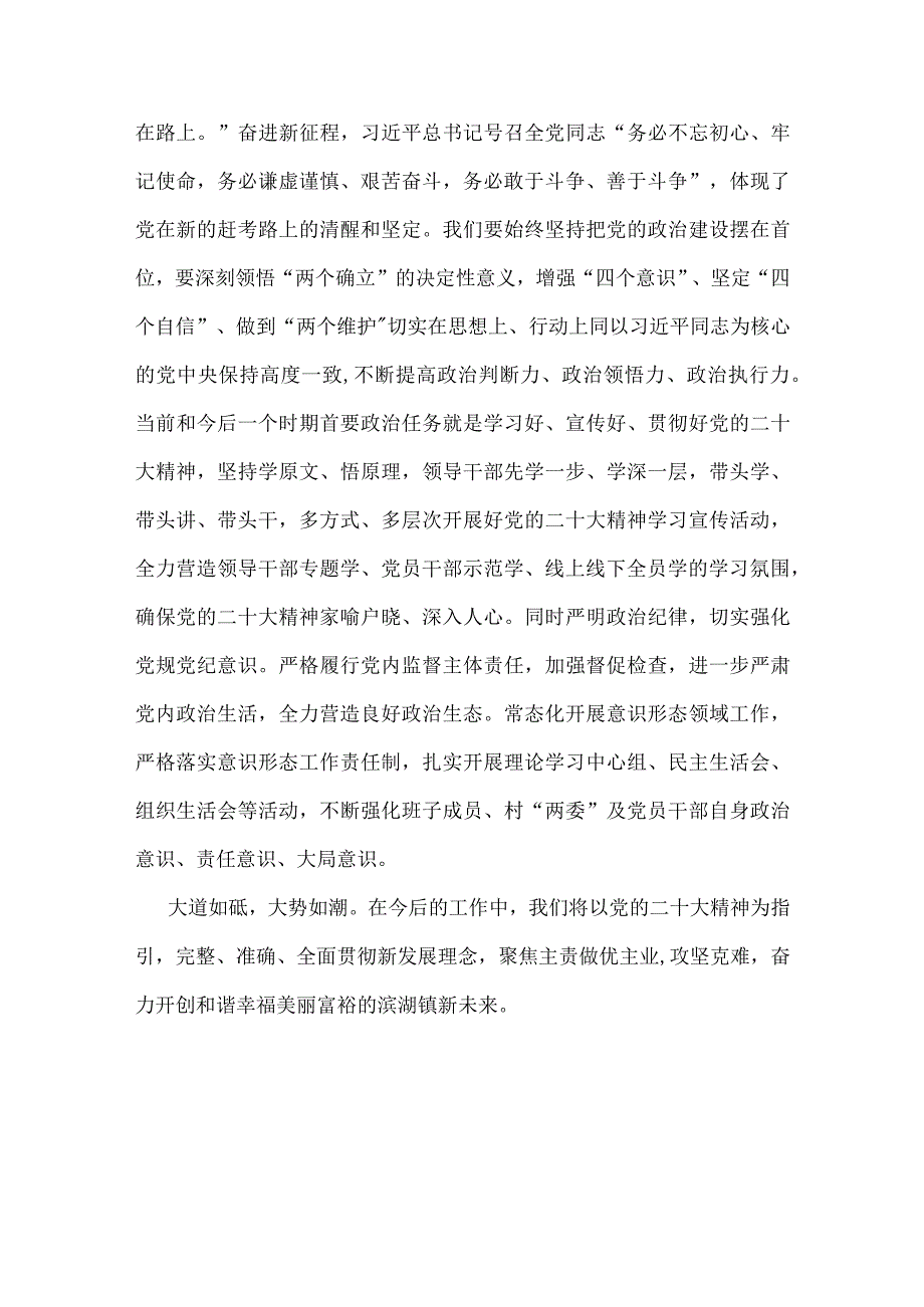 基层党组织书记学习宣传贯彻党的二十大精神心得体会.docx_第3页