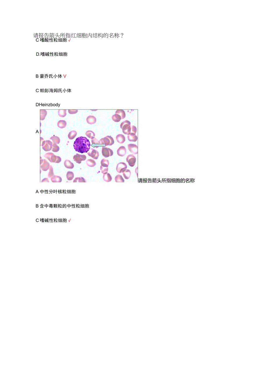 外周血细胞形态学考试试题及答案.docx_第2页