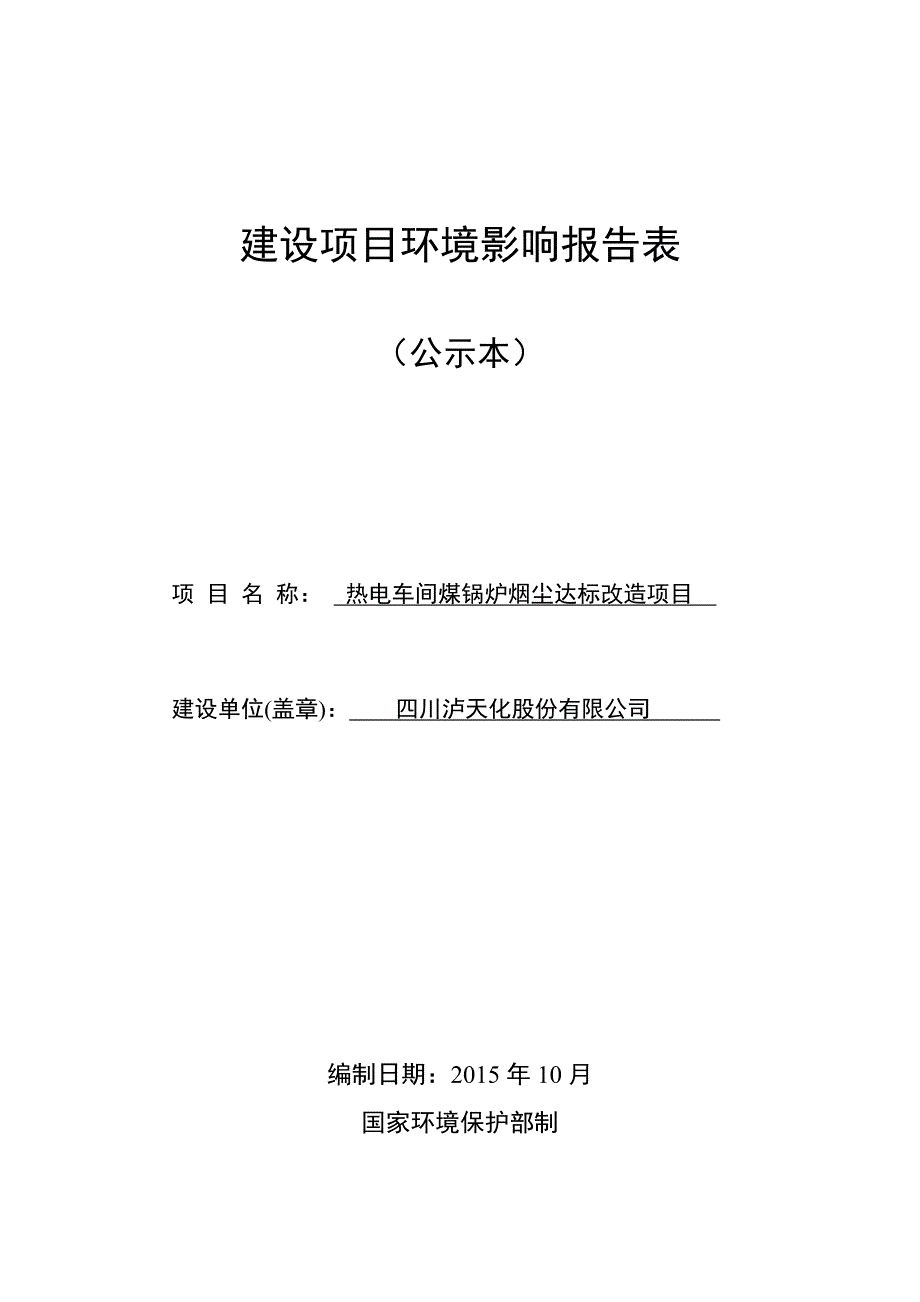 热电车间煤锅炉烟尘达标改造项目环境影响报告.docx_第1页