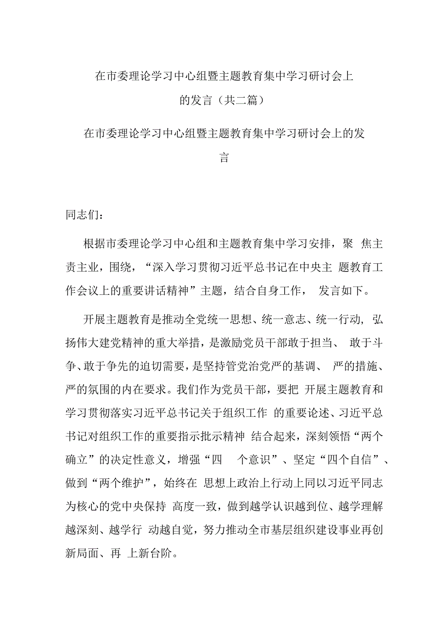 在市委理论学习中心组暨主题教育集中学习研讨会上的发言(共二篇).docx_第1页