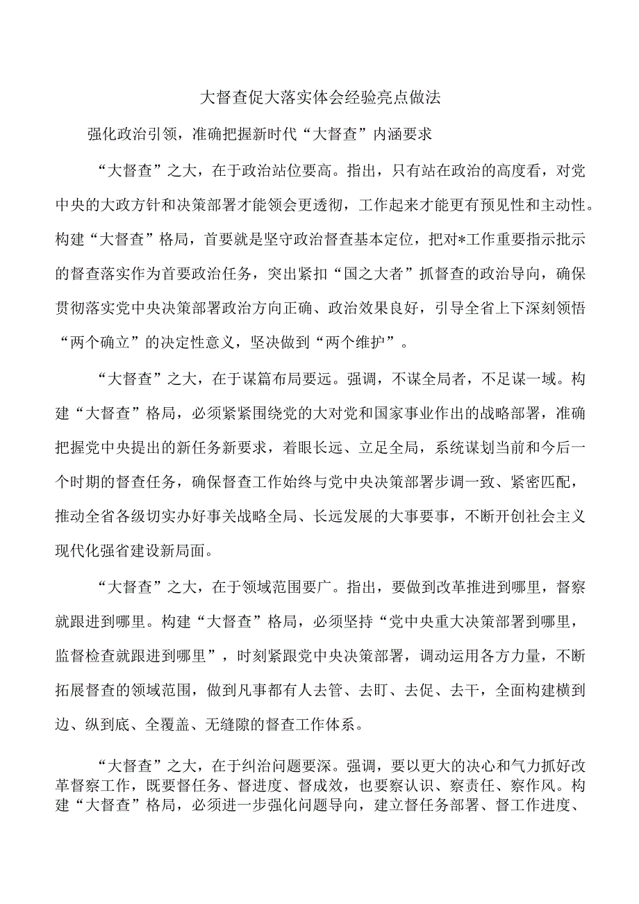 大督查促大落实体会经验亮点做法.docx_第1页