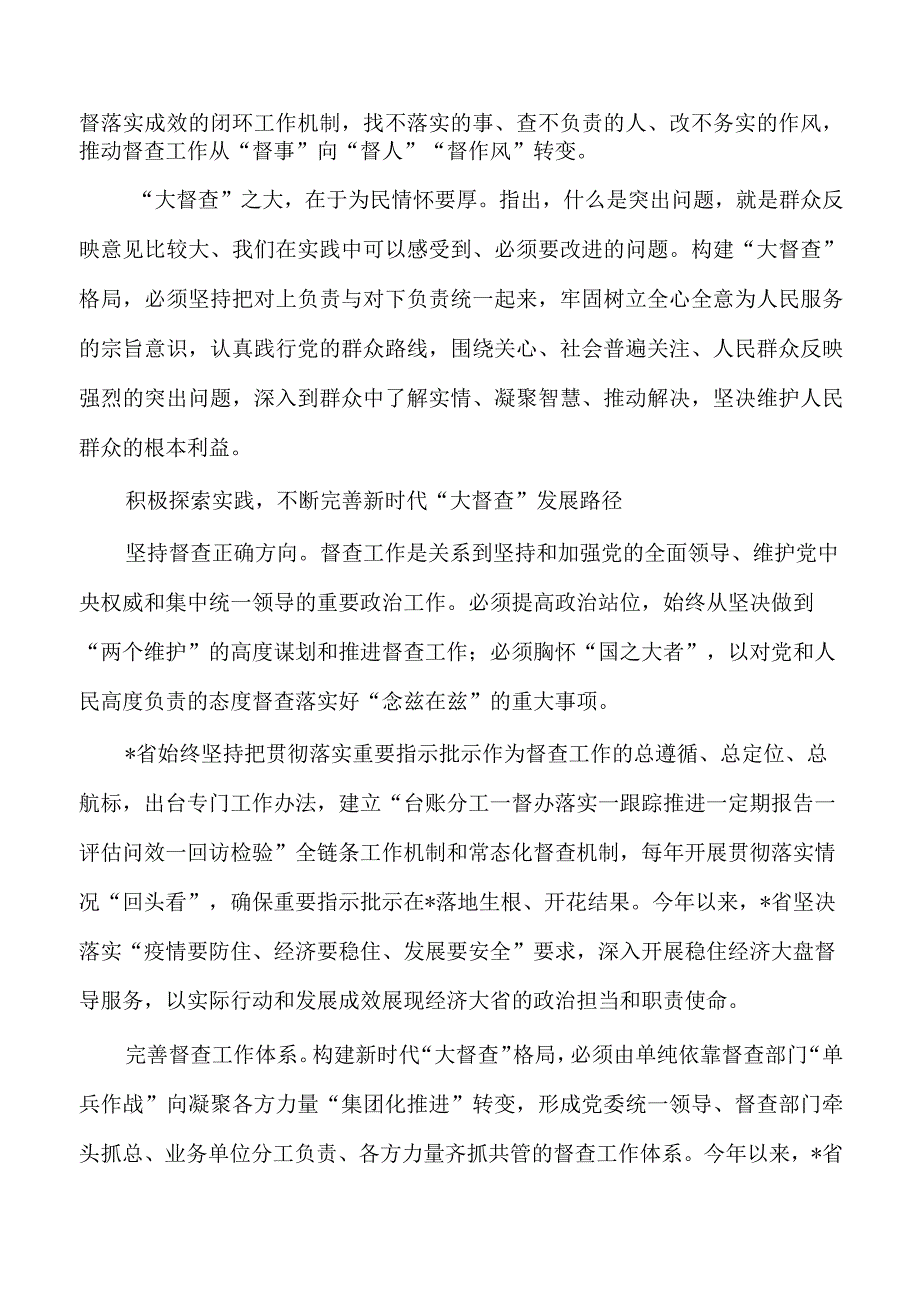 大督查促大落实体会经验亮点做法.docx_第2页