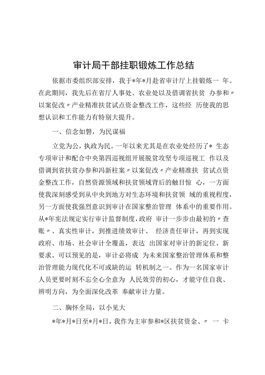 审计局干部挂职锻炼工作总结.docx_第1页