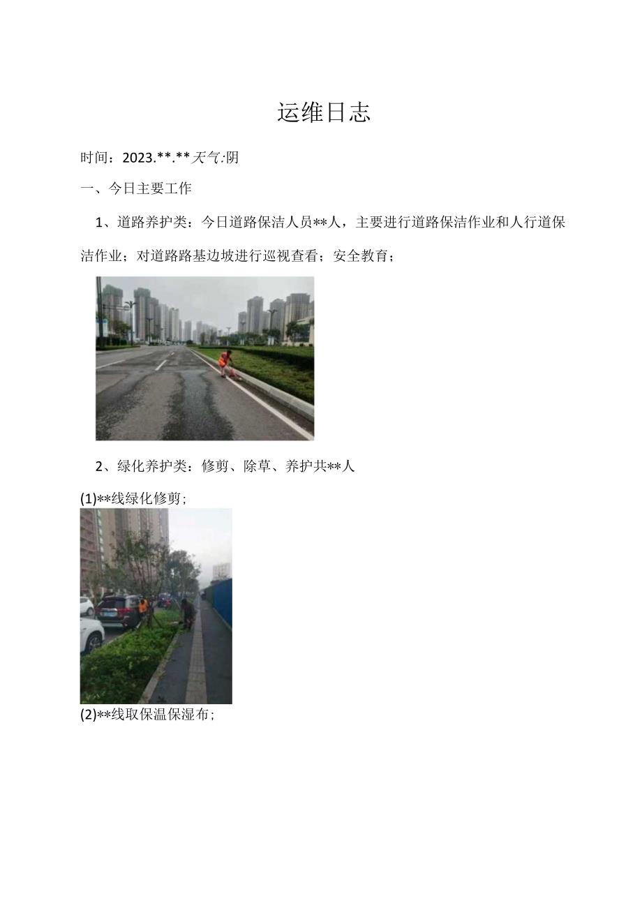 市政道路运维日志.docx_第1页