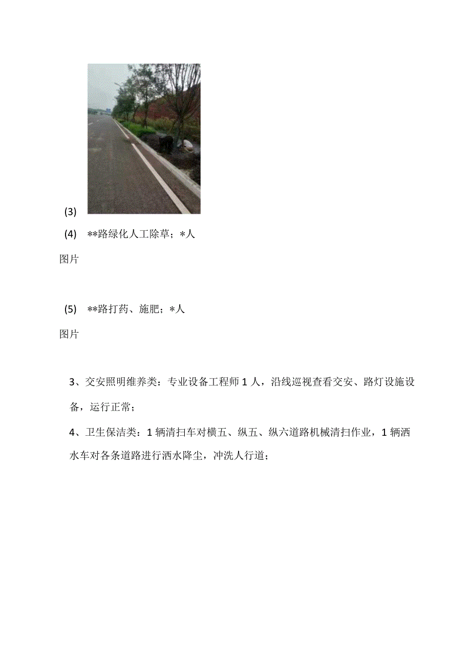 市政道路运维日志.docx_第2页