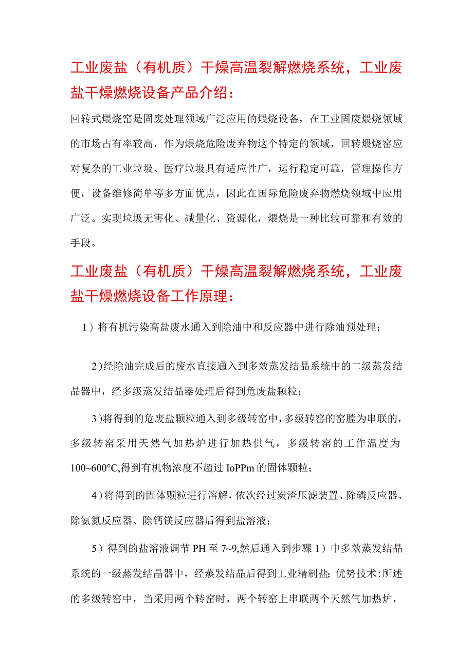 工业废盐有机质干燥高温裂解煅烧系统工程案例.docx_第2页