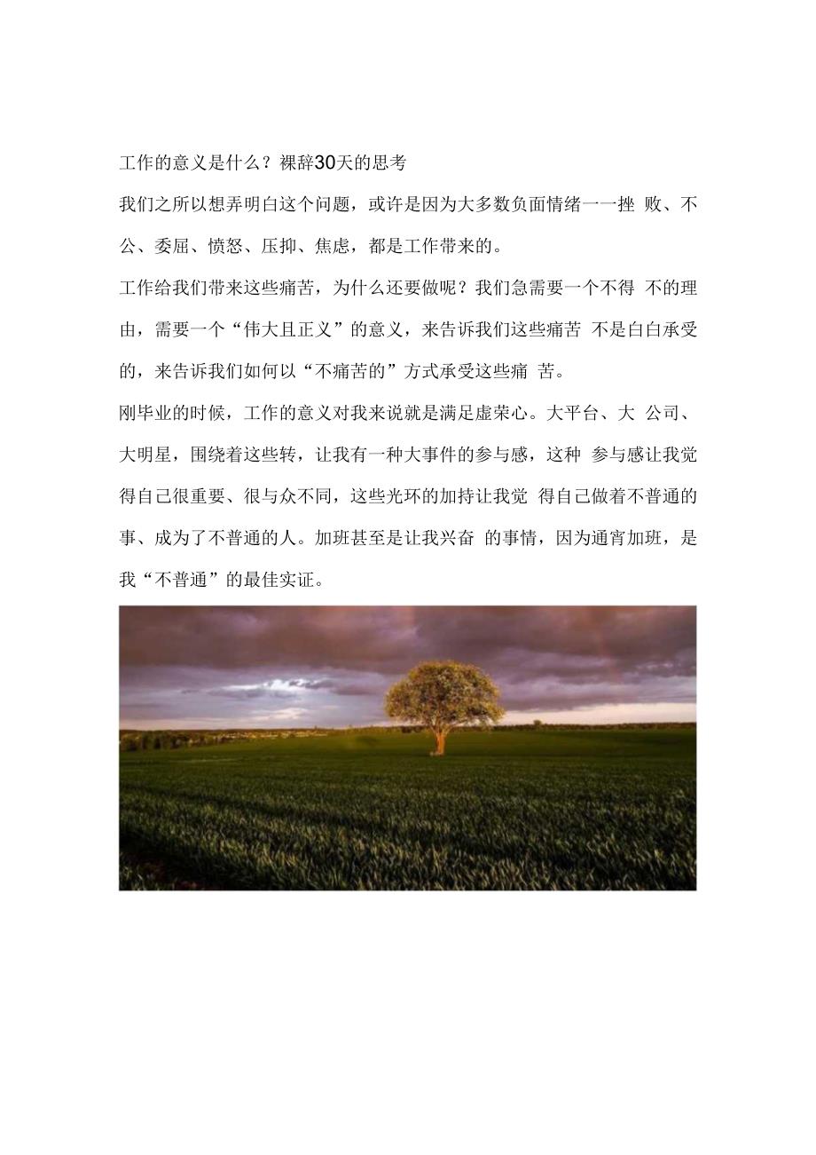 工作的意义是什么？裸辞30天的思考.docx_第1页