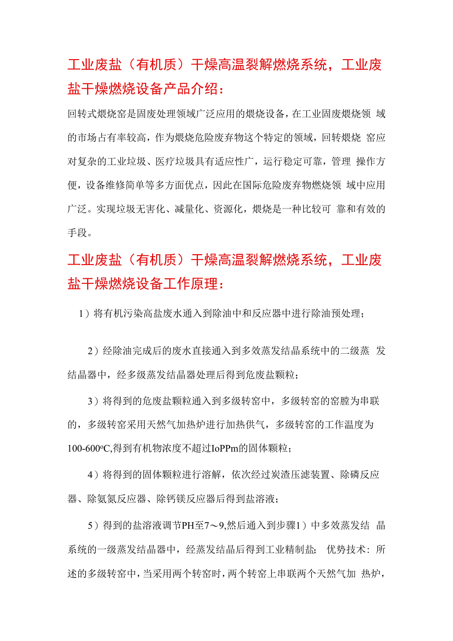 工业废盐（有机质）干燥高温裂解煅烧系统 工程案例.docx_第2页