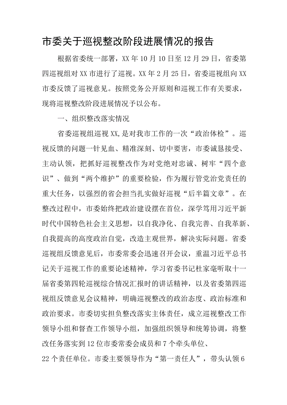 市委关于巡视整改阶段进展情况的报告.docx_第1页