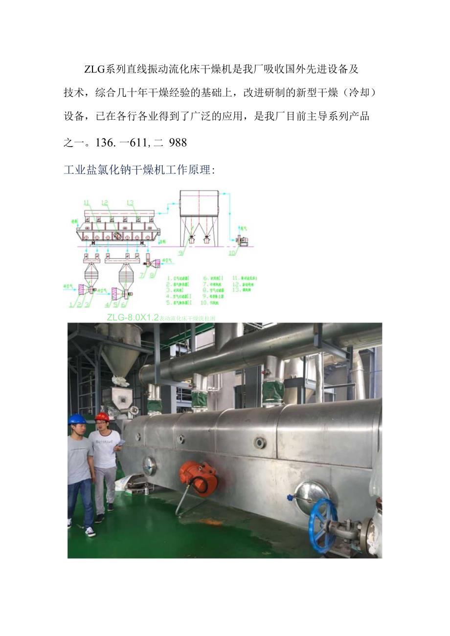 工业盐氯化钠专用干燥机（有应用案例）.docx_第1页