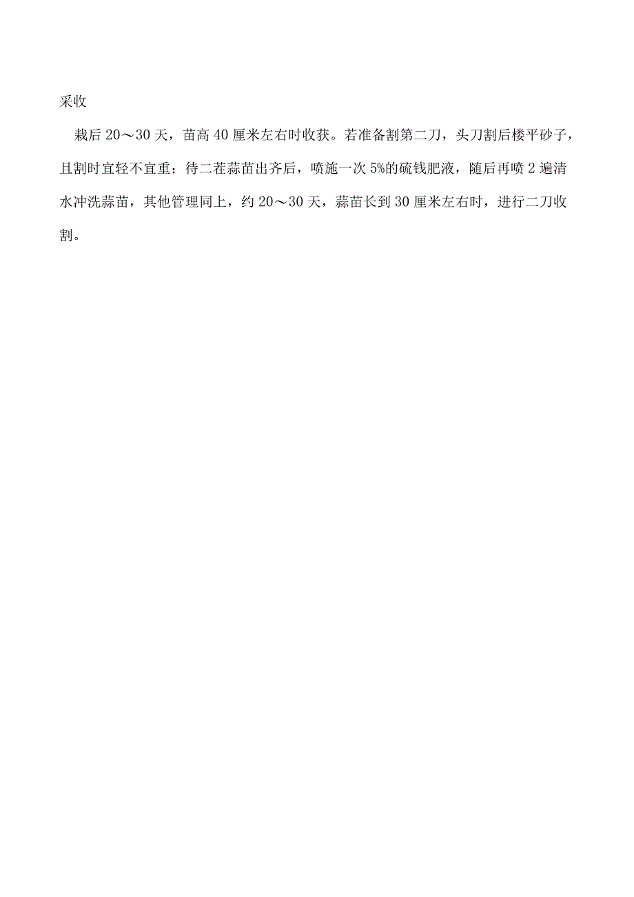 蒜苗怎么种才粗大.docx_第2页