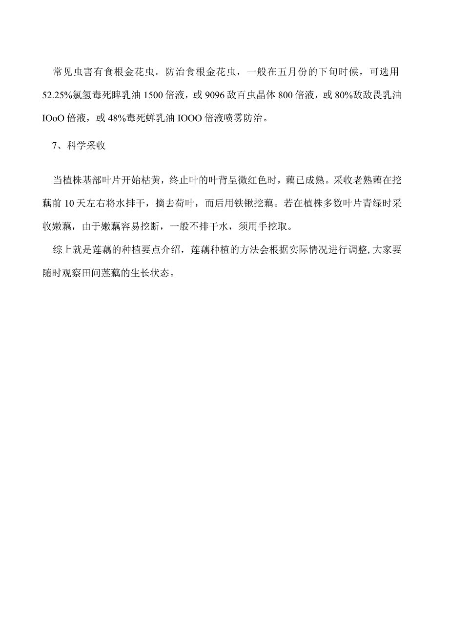 莲藕的种植技术和管理方法.docx_第2页