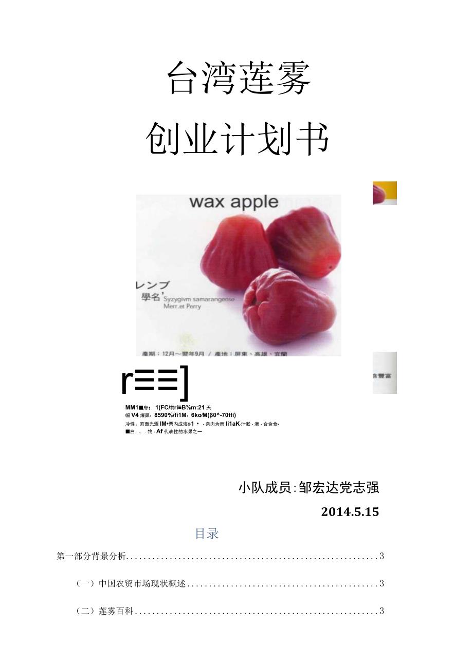 莲雾营销策划书.docx_第1页