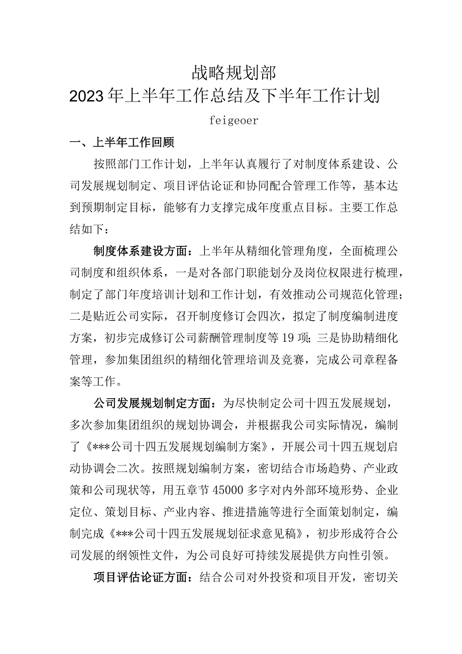 规划部上半年工作总结及下半年工作计划报告.docx_第1页