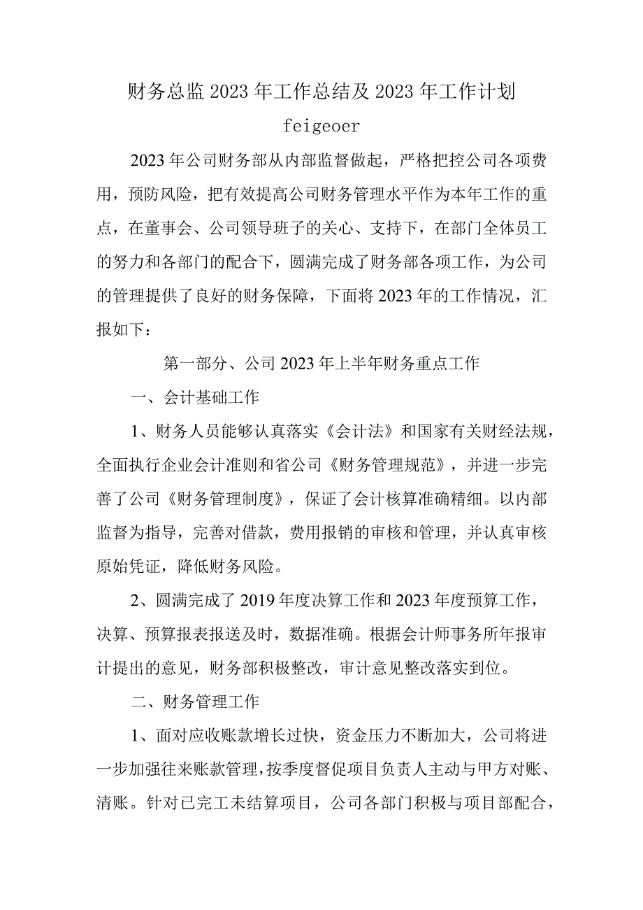 财务总监2023年工作总结及2023年工作计划.docx_第1页